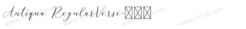 Antiqua RegularVersi字体转换